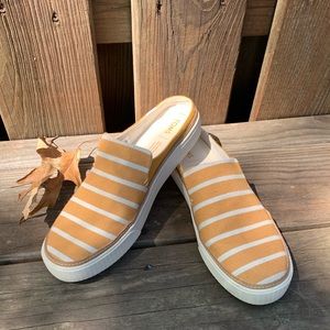 Toms Canvas Mules